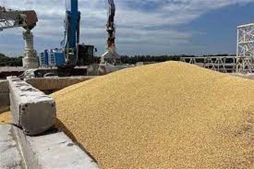 Ukraine phủ nhận thông tin tạm dừng xuất khẩu ngũ cốc qua hành lang Biển Đen