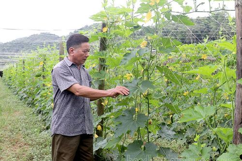 Phát huy vai trò của người có uy tín tại cơ sở