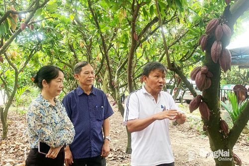 Kết nối thị trường cho nông sản Việt tại vùng sản xuất