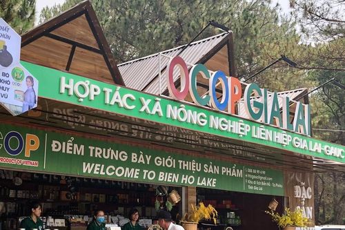 Toàn tỉnh đã có 316 sản phẩm OCOP đạt 3-4 sao