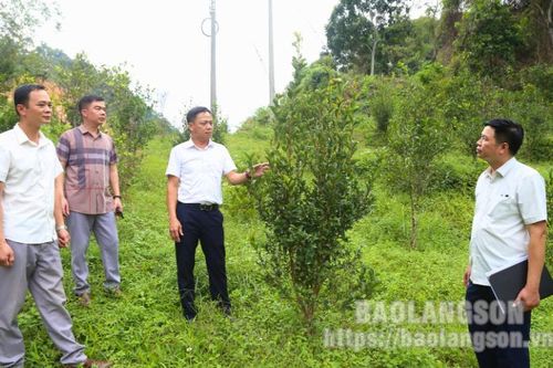 Đoàn giám sát của Ủy ban MTTQ Việt Nam tỉnh Lạng Sơn giám sát thực hiện các dự án, công trình tại huyện Văn Quan