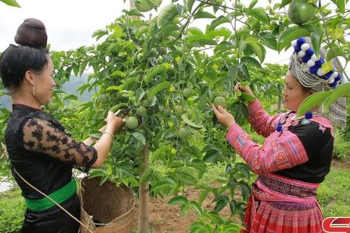 Thực hiện khâu đột phá ở Đảng bộ xã Chiềng On