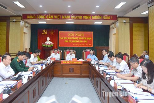 Lấy phiếu tín nhiệm đối với các đồng chí Thường trực Tỉnh ủy và Ban Thường vụ Tỉnh ủy