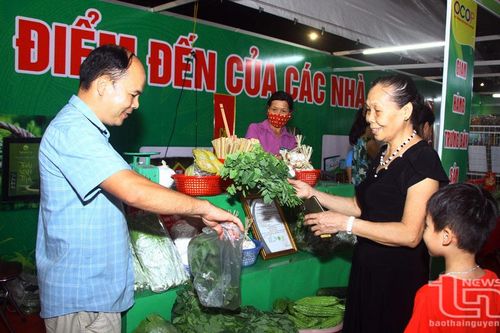 Liên kết tiêu thụ nông sản vẫn là 'bài toán' khó