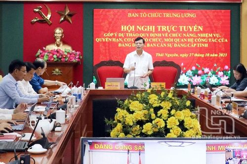 Góp ý vào dự thảo quy định về chức năng của đảng đoàn, ban cán sự đảng