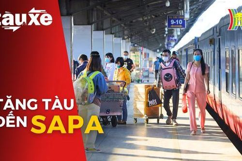 Đường sắt tăng nhiều tàu du lịch tới Sapa| Bản tin Tàu và Xe| 27/10/2023