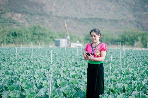 Để công nghệ trở thành bệ phóng cho hợp tác xã