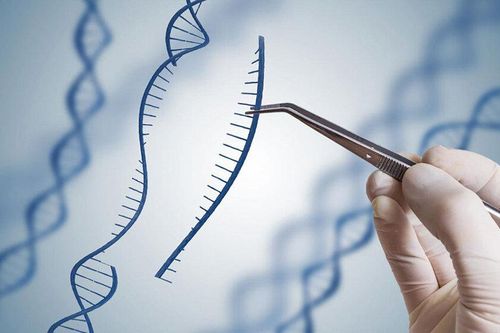 40 năm bị vợ lừa kết quả vô sinh, người đàn ông suýt tuyệt tự