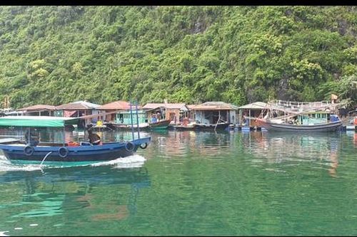 Quảng Ninh cấm phương tiện gắn máy hoạt động tại làng chài Cửa Vạn từ 28/10
