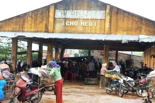 Quảng Nam có 'chợ bồng heo'