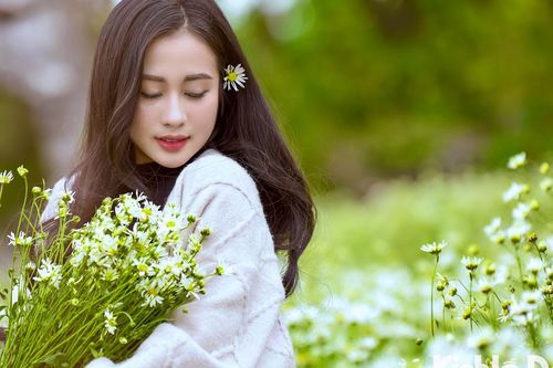 Giới trẻ đổ xô check-in vườn cúc họa mi tại thảo nguyên hoa Long Biên