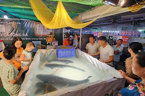 Khai mạc Lễ hội cá tôm sông Đà và Hội chợ nông nghiệp, triển lãm sản phẩm OCOP vùng trung du miền núi phía bắc