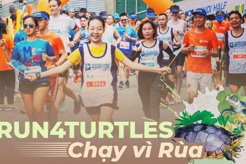 Giải 'Chạy vì Rùa' lan tỏa thông điệp bảo vệ rùa tới cộng đồng