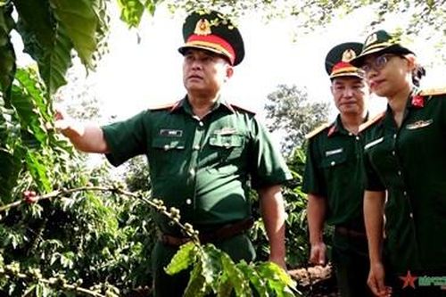 Các đoàn Kinh tế-Quốc phòng Quân khu 5: Nhiều kết quả nổi bật trong thực hiện nhiệm vụ quân sự, quốc phòng