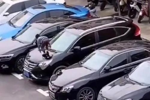 Trung Quốc: Con trai giẫm hỏng 7 ô tô, bà mẹ phải đền 400 triệu