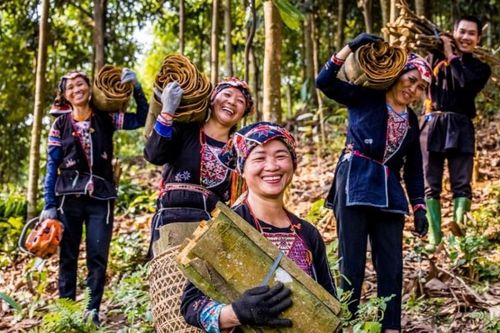 Khai phá tiềm năng nông nghiệp hữu cơ vùng núi phía Bắc: Bài 3: Đổi thay những vùng đất khát, đất khô