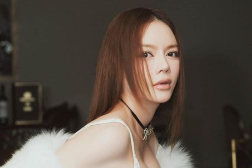 Trấn Thành điển trai, Lý Nhã Kỳ được khen 'không tuổi'