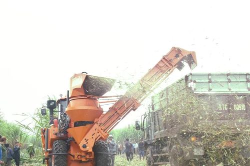 Công ty CP Mía đường Sông Con chú trọng chăm sóc mía sau lũ và nâng cấp thiết bị