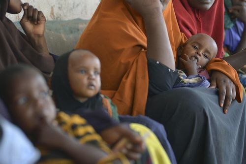 WFP cần 351 triệu USD để cứu trợ ở Somalia trong 6 tháng tới