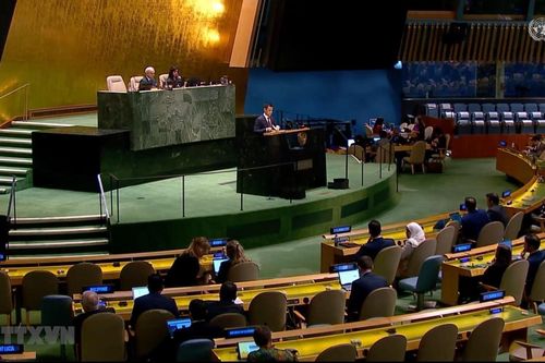 Việt Nam kêu gọi chấm dứt giao tranh, bảo vệ người dân ở Gaza