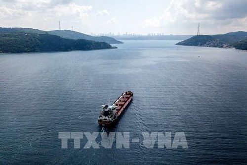 Diễn biến bất ngờ về hoạt động xuất khẩu ngũ cốc của Ukraine