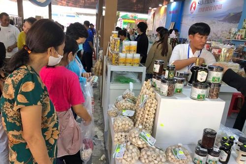 Làm cầu nối thương mại, TP.HCM tổ chức tuần lễ OCOP với gần 1.200 sản phẩm của 5 vùng miền