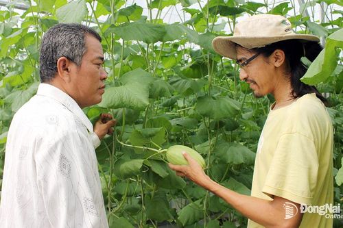 Hiệu quả từ chuyển đổi số trong nông nghiệp
