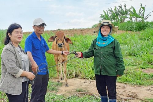 Niềm vui thoát nghèo