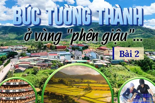 Bức tường thành ở vùng ''phên giậu''... (Bài 2): Tổng lực thúc đẩy Đam Rông phát triển