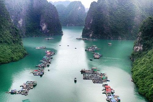 Cấm tàu, thuyền hoạt động tại làng chài Cửa Vạn từ ngày 28.10