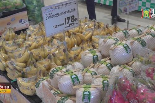 Tuần hàng Việt Nam - Hà Nội tại Nhật Bản và Hàn Quốc