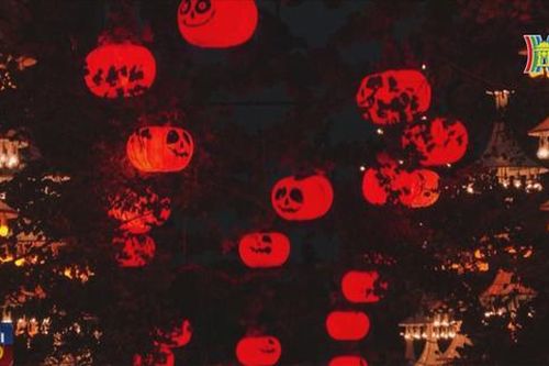 Thủ đô Copenhagen ngập tràn sắc cam của lễ hội Halloween