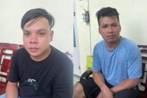 Chủ vựa trái cây chết dưới cao tốc: Khởi tố, bắt giam 4 kẻ trộm vàng