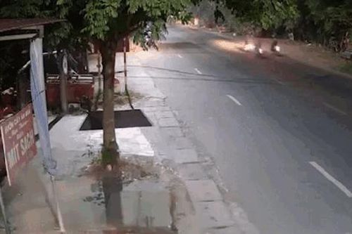 Hoảng hồn cảnh nam thanh niên điều khiển xe máy lao thẳng vào gốc cây sau va chạm giao thông