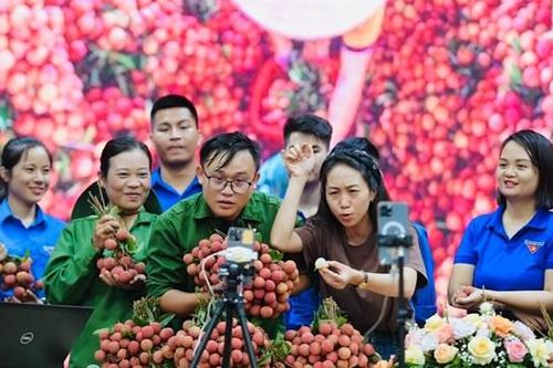 Bán nông sản trực tuyến: Quan trọng vẫn là chất lượng