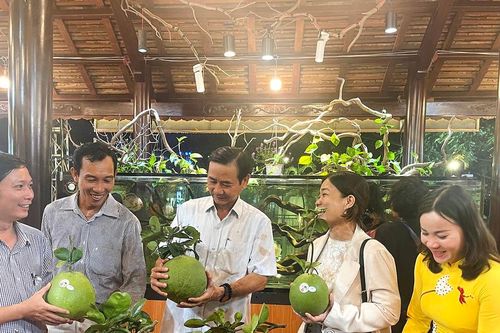 Dấu ấn sản phẩm OCOP TPHCM
