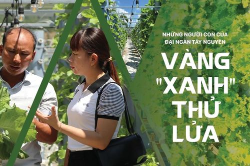 Vàng 'xanh' thử lửa