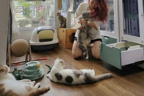 Giới trẻ chi hàng triệu đồng mỗi tháng chăm sóc thú cưng