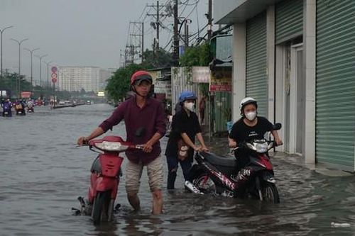 Mưa lớn kết hợp triều cường, Quốc lộ 1 qua TPHCM tê liệt vì ngập sâu