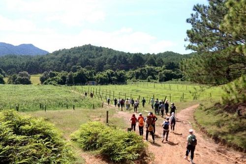 Bình Thuận đẩy mạnh liên kết để phát triển du lịch bền vững