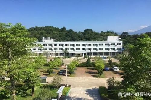 Nguyên nhân 700 sinh viên một trường đồng loạt bỏ học, số lượng tiếp tục tăng