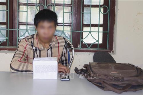 Bắt đối tượng mua bán 1.000 viên ma túy tổng hợp và 400 gram heroin