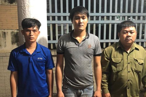 Tạm giữ hình sự 3 đối tượng đột nhập, lấy trộm cây mai vàng giá trị lớn
