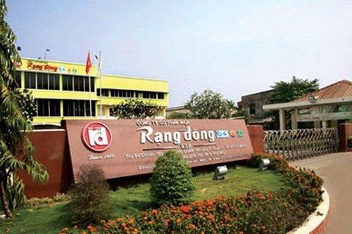 Nghịch lý doanh thu giảm, lợi nhuận tăng 17 lần tại Rạng Đông Holding