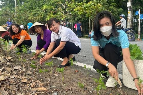 TPHCM: Phát động xây dựng tuyến đường hoa ở khu vực nông thôn
