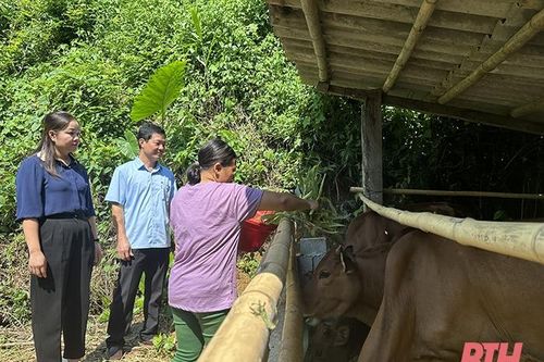 Phát huy vai trò của đảng viên trong phát triển kinh tế