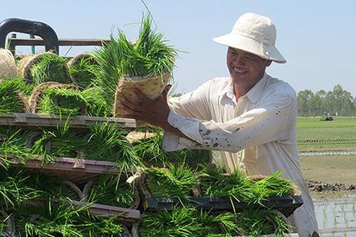 Nâng cao năng lực thích ứng với biến đổi khí hậu cho hợp tác xã nông nghiệp