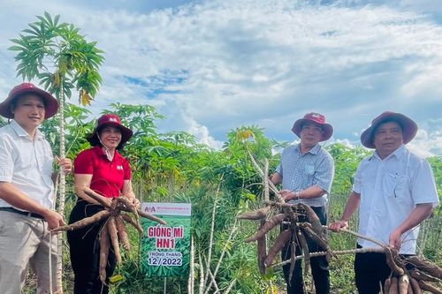 Nông dân Ia Rtô chuyển đổi cây trồng, vật nuôi