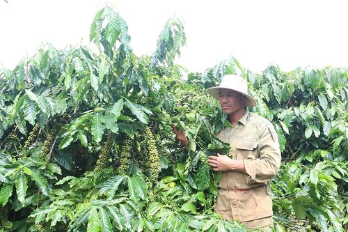 Chư Sê giúp dân thay đổi nếp nghĩ, cách làm