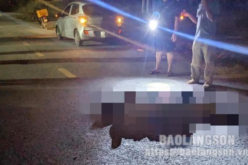 Công an huyện Chi Lăng: Truy tìm người điều khiển phương tiện bỏ trốn khỏi hiện trường vụ tai nạn giao thông khiến 1 người tử vong